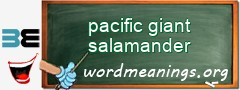 WordMeaning blackboard for pacific giant salamander